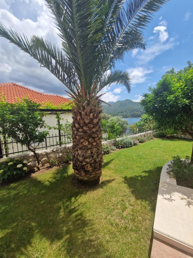 Villa Lukic Apartments Slano Zewnętrze zdjęcie